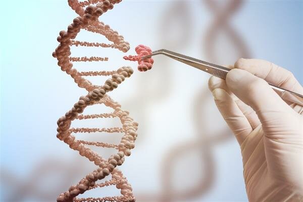 Living BRCA1 Positive 